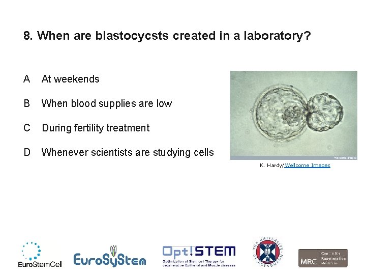 8. When are blastocycsts created in a laboratory? A At weekends B When blood