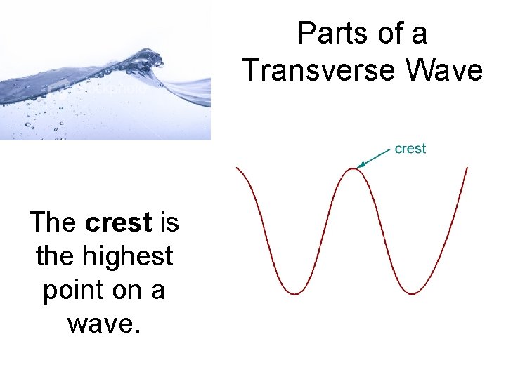 Parts of a Transverse Wave The crest is the highest point on a wave.