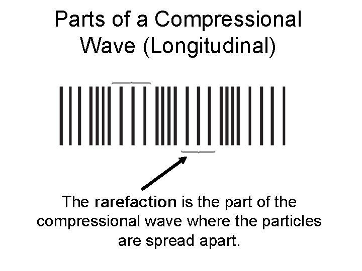 Parts of a Compressional Wave (Longitudinal) The rarefaction is the part of the compressional