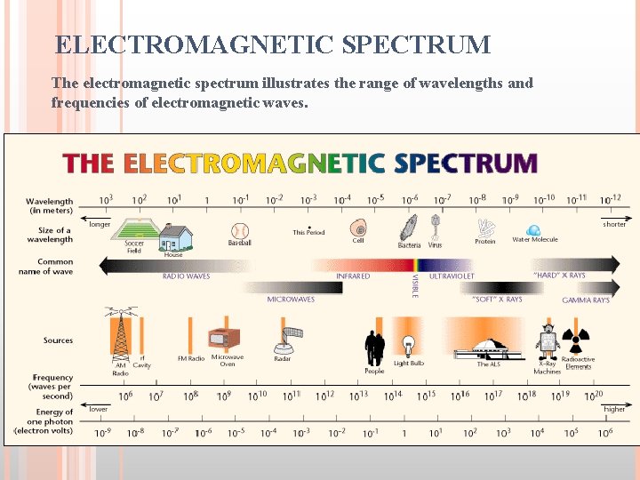 ELECTROMAGNETIC SPECTRUM The electromagnetic spectrum illustrates the range of wavelengths and frequencies of electromagnetic