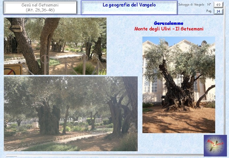 Gesù nel Getsemani (Mt. 26, 36 -46) La geografia del Vangelo Schegge di Vangelo