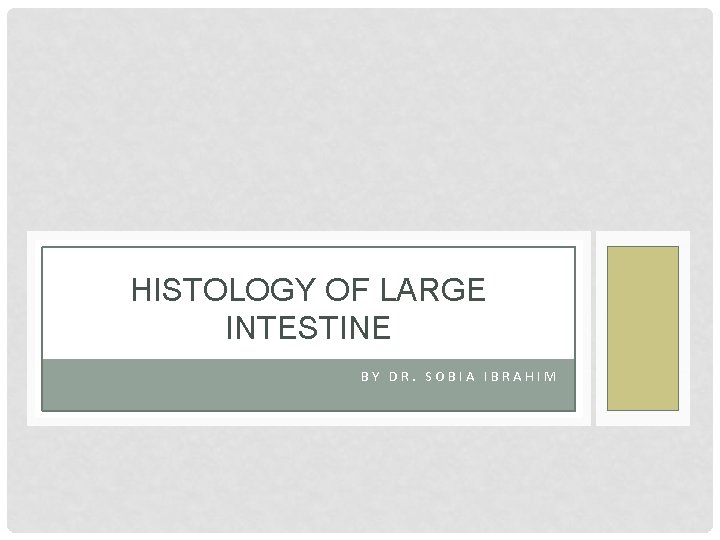 HISTOLOGY OF LARGE INTESTINE BY DR. SOBIA IBRAHIM 