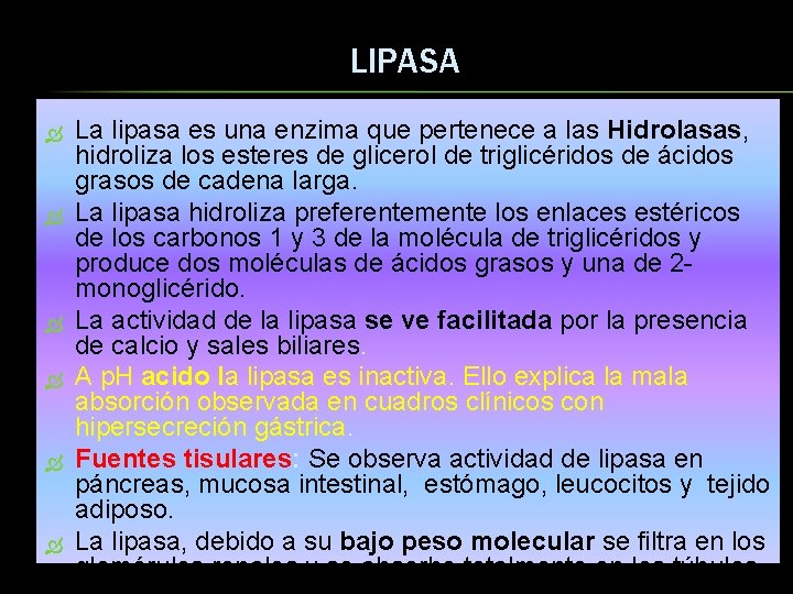 LIPASA La lipasa es una enzima que pertenece a las Hidrolasas, hidroliza los esteres