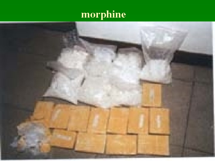 morphine 