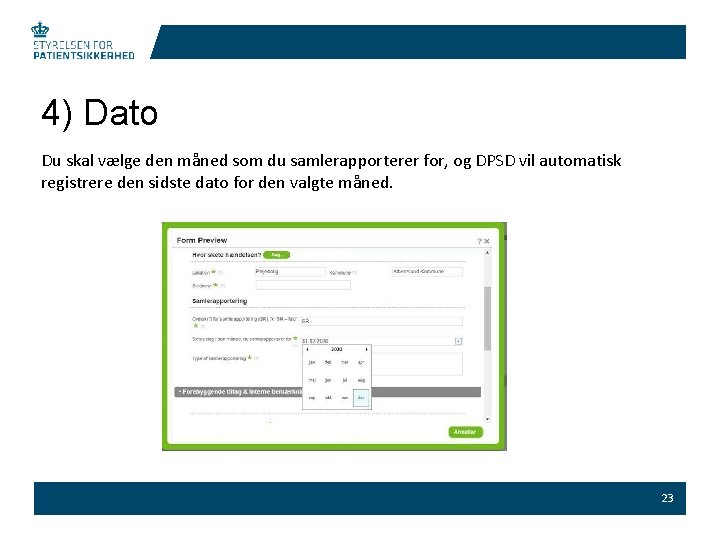 4) Dato Du skal vælge den måned som du samlerapporterer for, og DPSD vil