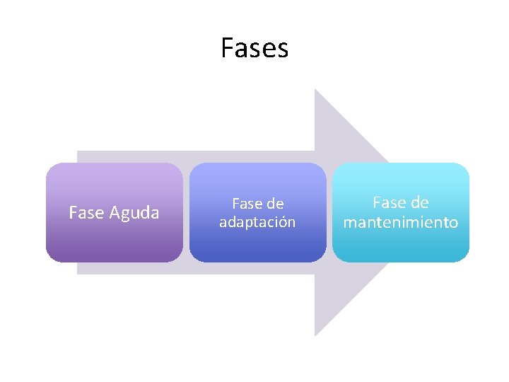 Fases Fase Aguda Fase de adaptación Fase de mantenimiento Fases Fase Aguda Fase de adaptación Fase de mantenimiento
