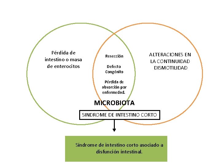 Pérdida de intestino o masa de enterocitos Resección Defecto Congénito ALTERACIONES EN LA CONTINUIDAD Pérdida de intestino o masa de enterocitos Resección Defecto Congénito ALTERACIONES EN LA CONTINUIDAD