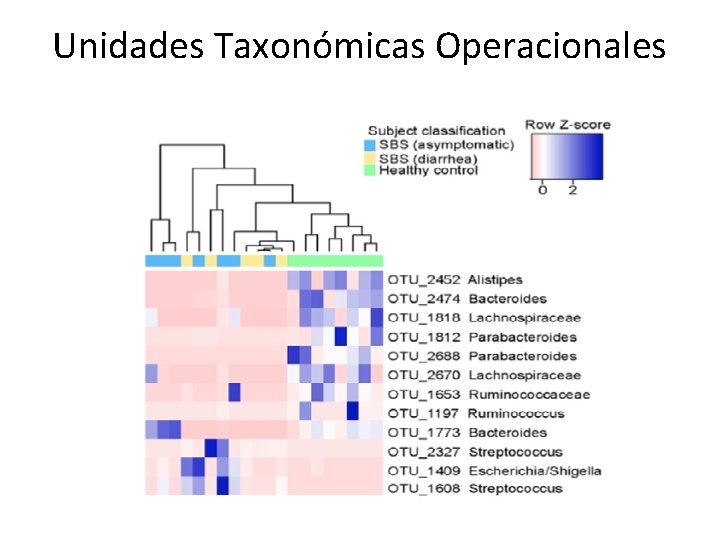 Unidades Taxonómicas Operacionales Unidades Taxonómicas Operacionales