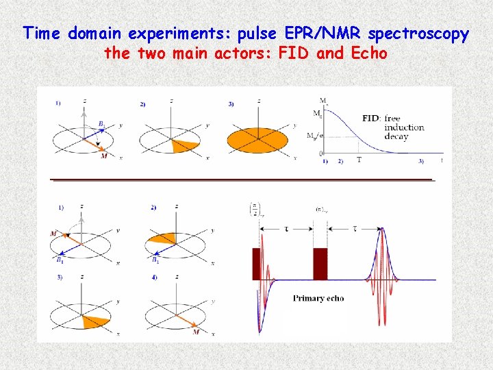 Time domain experiments: pulse EPR/NMR spectroscopy the two main actors: FID and Echo 