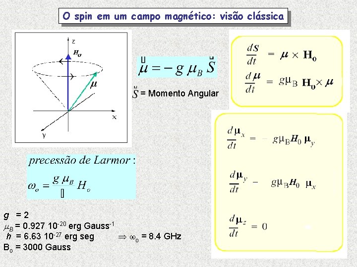 O spin em um campo magnético: visão clássica = Momento Angular g = 2