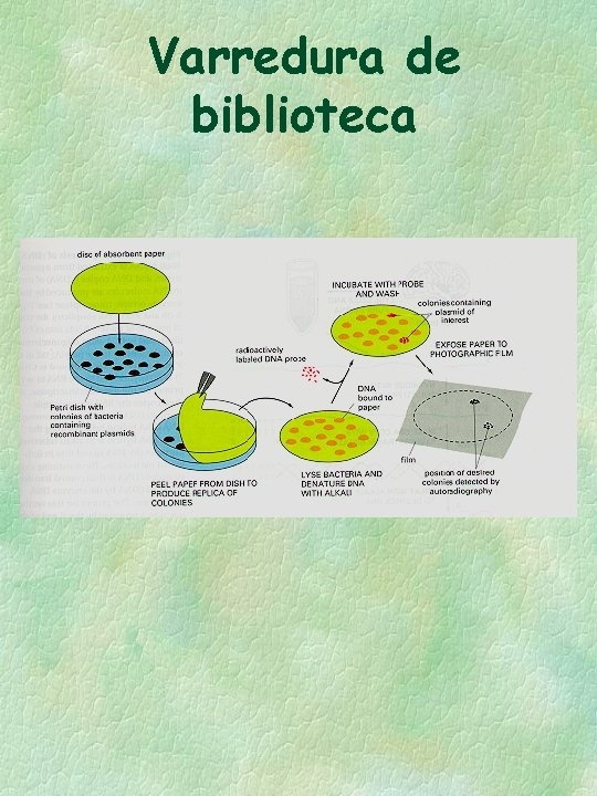 Varredura de biblioteca Varredura de biblioteca