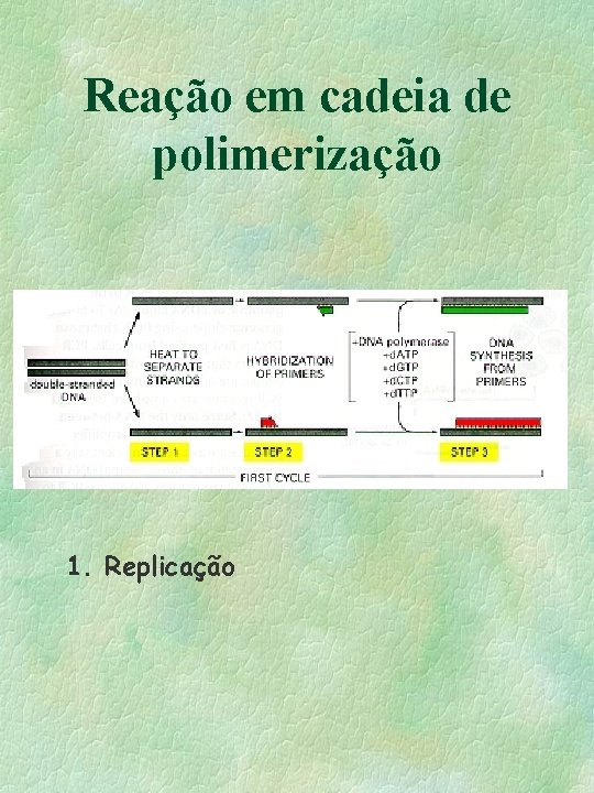 Reação em cadeia de polimerização 1. Replicação Reação em cadeia de polimerização 1. Replicação