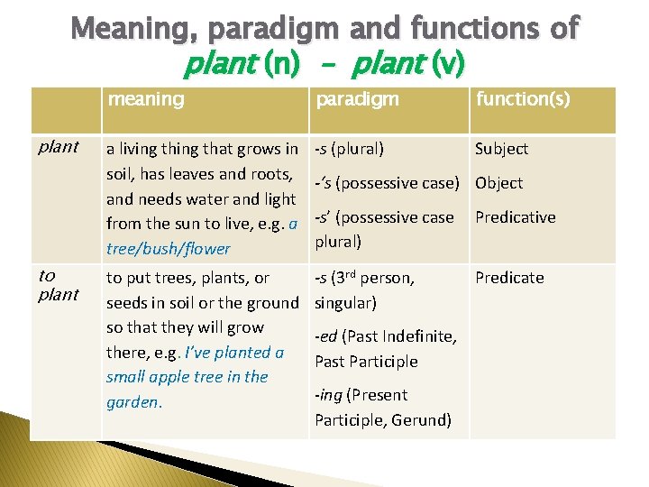 Meaning, paradigm and functions of plant (n) – plant (v) plant to plant meaning