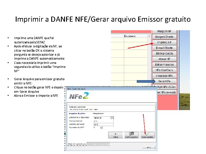 Imprimir a DANFE NFE/Gerar arquivo Emissor gratuito • • • Imprime uma DANFE que