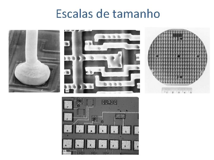 Escalas de tamanho 