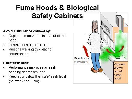 Fume Hoods & Biological Safety Cabinets Avoid Turbulence caused by: • Rapid hand movements