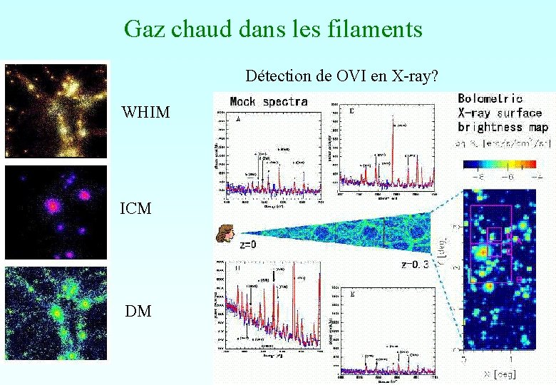 Gaz chaud dans les filaments Détection de OVI en X-ray? WHIM ICM DM Gaz chaud dans les filaments Détection de OVI en X-ray? WHIM ICM DM