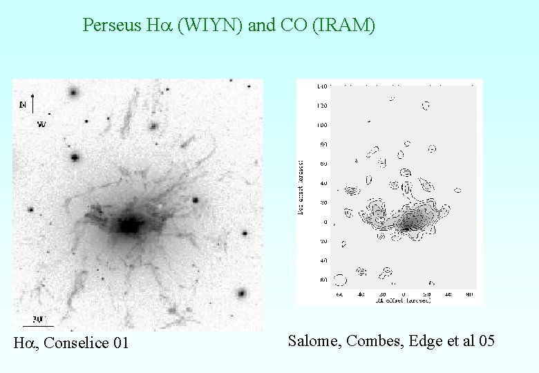 Perseus Ha (WIYN) and CO (IRAM) Ha, Conselice 01 Salome, Combes, Edge et al Perseus Ha (WIYN) and CO (IRAM) Ha, Conselice 01 Salome, Combes, Edge et al