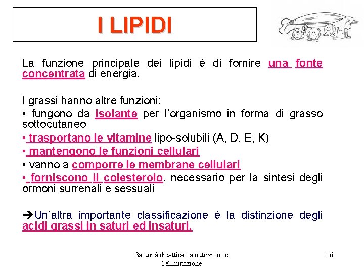 I LIPIDI La funzione principale dei lipidi è di fornire una fonte concentrata di