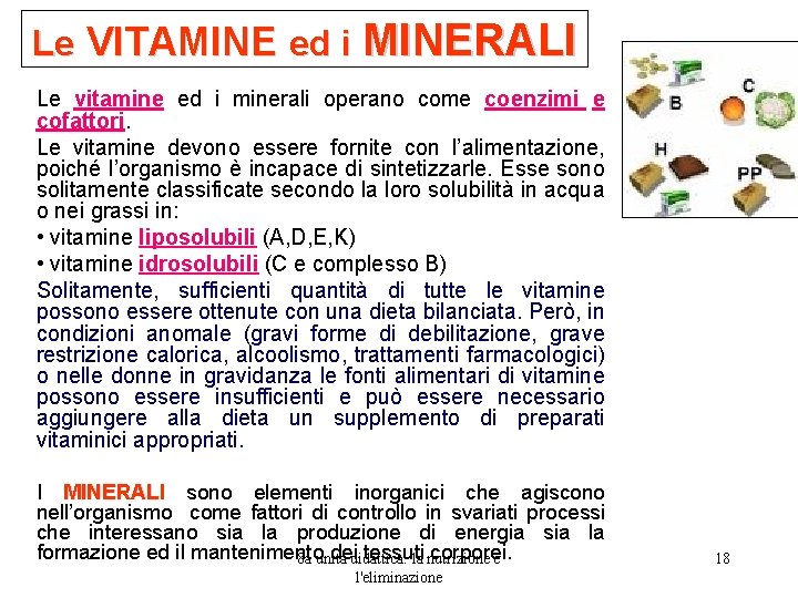 Le VITAMINE ed i MINERALI Le vitamine ed i minerali operano come coenzimi e