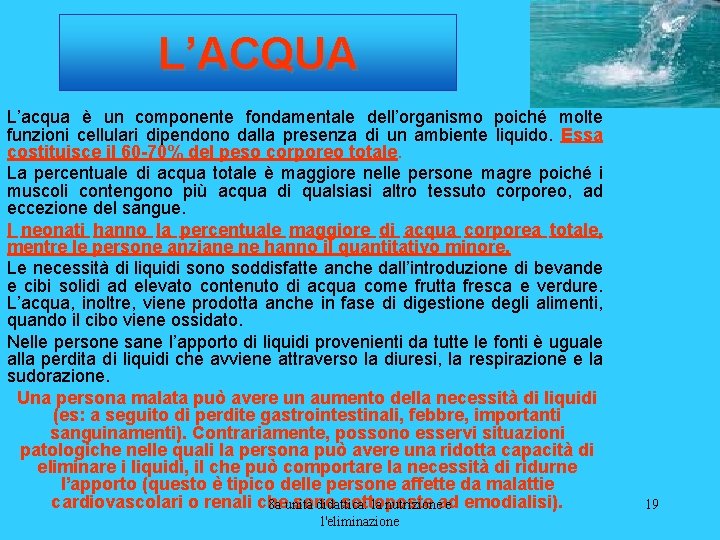 L’ACQUA L’acqua è un componente fondamentale dell’organismo poiché molte funzioni cellulari dipendono dalla presenza