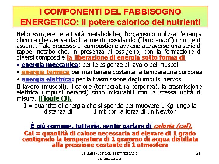 I COMPONENTI DEL FABBISOGNO ENERGETICO: il potere calorico dei nutrienti Nello svolgere le attività