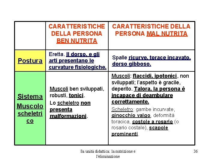 CARATTERISTICHE DELLA PERSONA BEN NUTRITA Postura Sistema Muscolo scheletri co Eretta. Il dorso, e