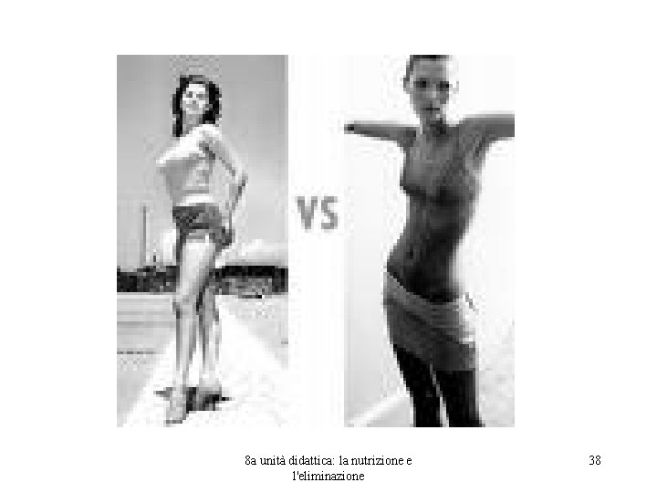 8 a unità didattica: la nutrizione e l'eliminazione 38 