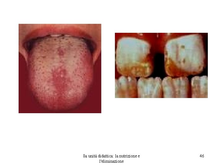 8 a unità didattica: la nutrizione e l'eliminazione 46 