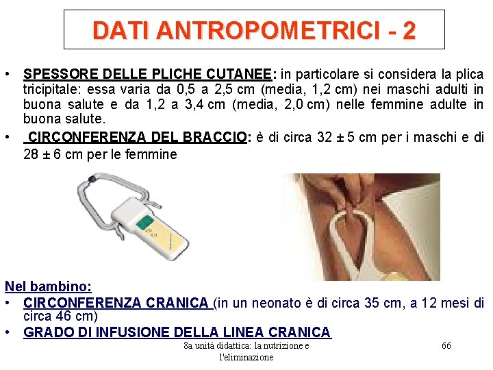 DATI ANTROPOMETRICI - 2 • SPESSORE DELLE PLICHE CUTANEE: in particolare si considera la