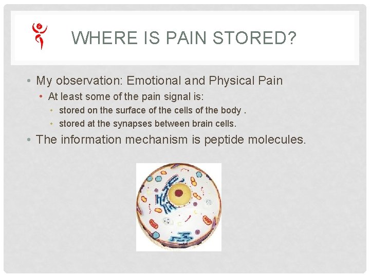 WHERE IS PAIN STORED? • My observation: Emotional and Physical Pain • At least WHERE IS PAIN STORED? • My observation: Emotional and Physical Pain • At least
