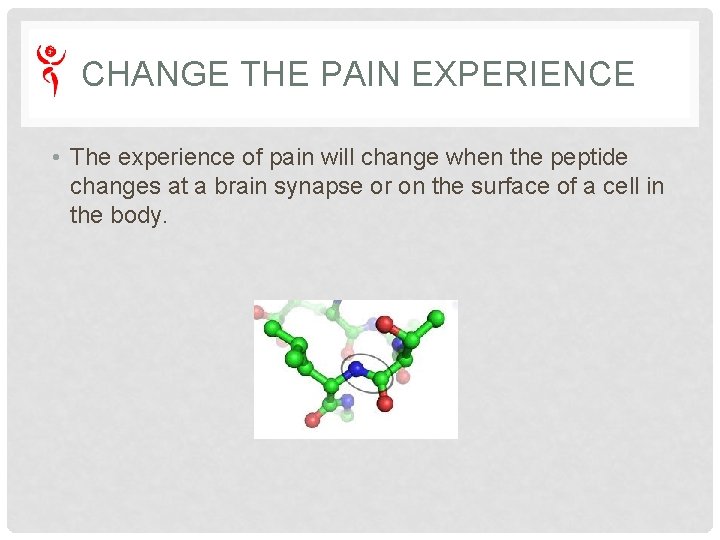 CHANGE THE PAIN EXPERIENCE • The experience of pain will change when the peptide CHANGE THE PAIN EXPERIENCE • The experience of pain will change when the peptide