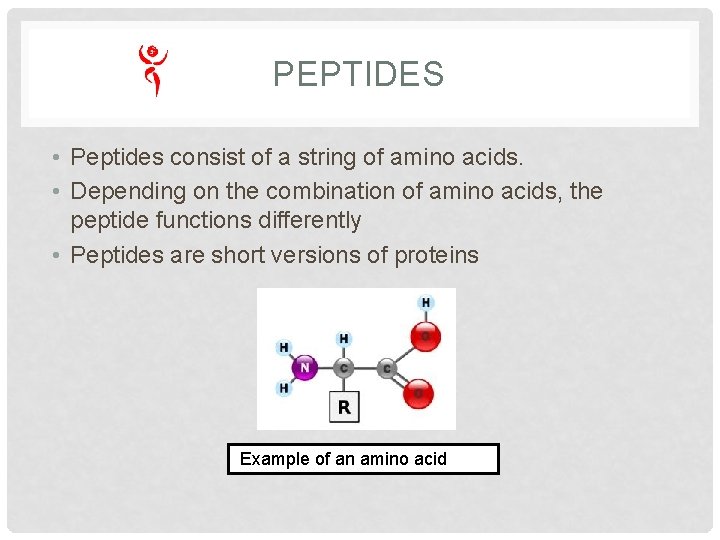 PEPTIDES • Peptides consist of a string of amino acids. • Depending on the PEPTIDES • Peptides consist of a string of amino acids. • Depending on the