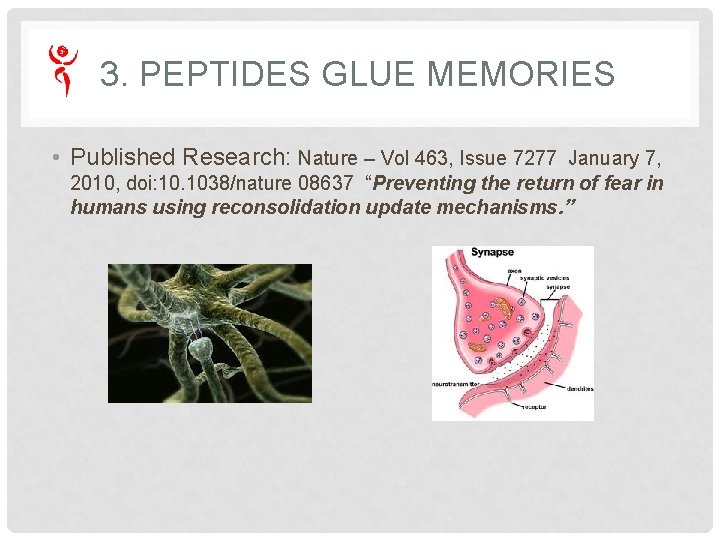 3. PEPTIDES GLUE MEMORIES • Published Research: Nature – Vol 463, Issue 7277 January 3. PEPTIDES GLUE MEMORIES • Published Research: Nature – Vol 463, Issue 7277 January
