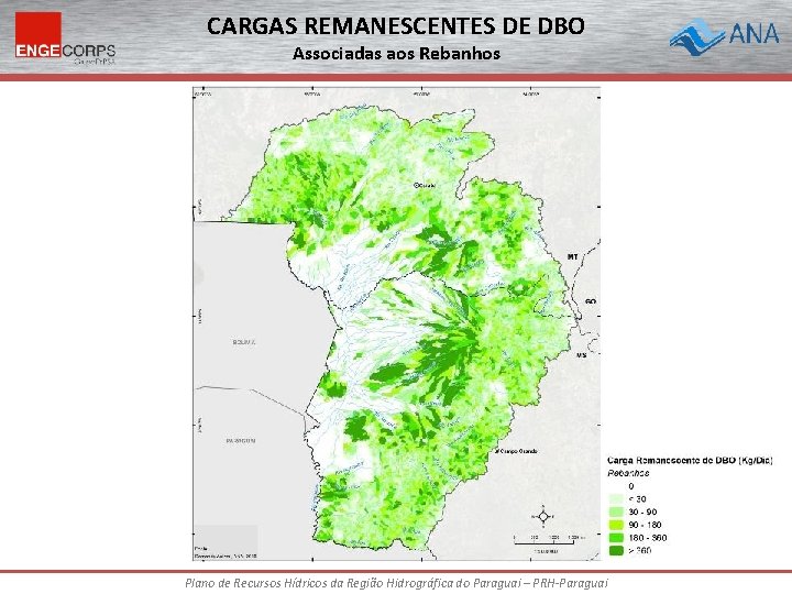 CARGAS REMANESCENTES DE DBO Associadas aos Rebanhos Plano de Recursos Hídricos da Região Hidrográfica