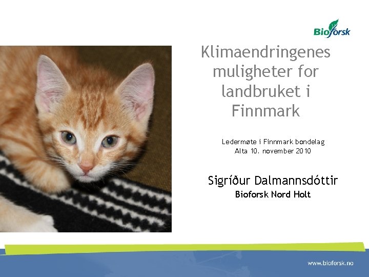 Klimaendringenes muligheter for landbruket i Finnmark Ledermøte i Finnmark bondelag Alta 10. november 2010