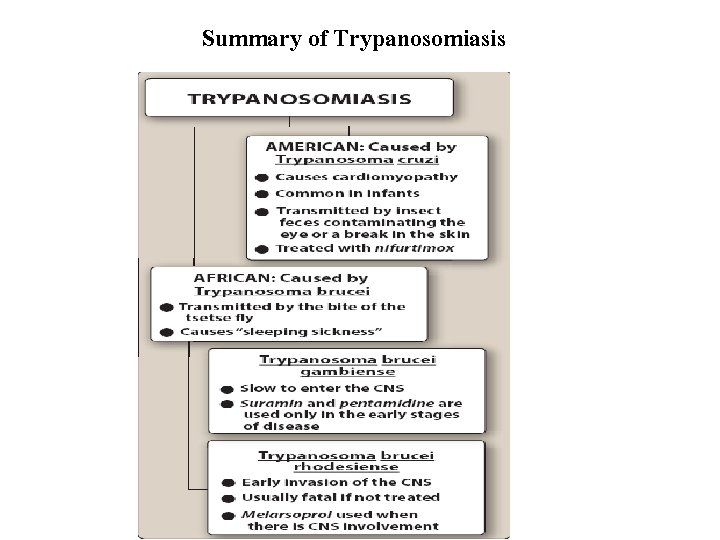 Summary of Trypanosomiasis 
