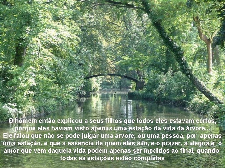 O homem então explicou a seus filhos que todos eles estavam certos, porque eles