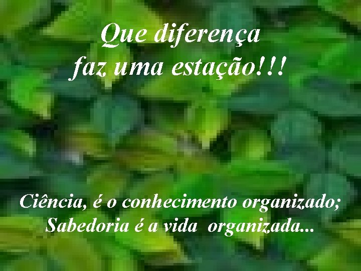 Que diferença faz uma estação!!! Ciência, é o conhecimento organizado; Sabedoria é a vida