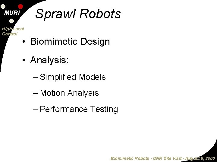 Sprawl Robots MURI High-Level Control • Biomimetic Design • Analysis: – Simplified Models –