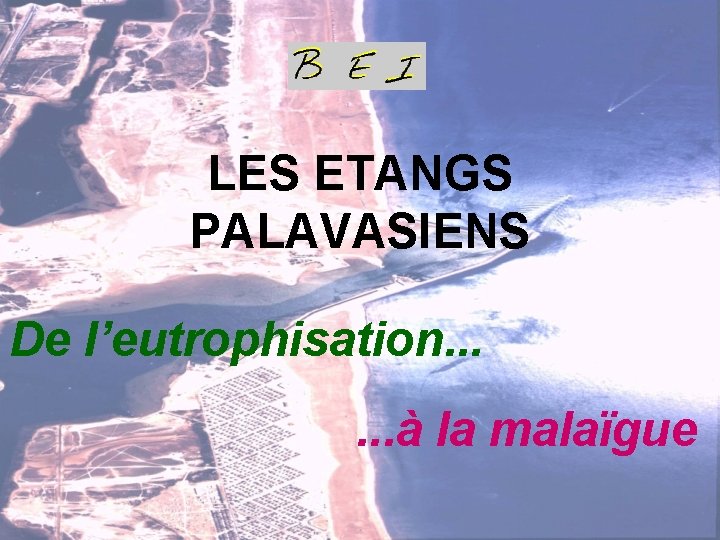 LES ETANGS PALAVASIENS De l’eutrophisation. . . à la malaïgue 