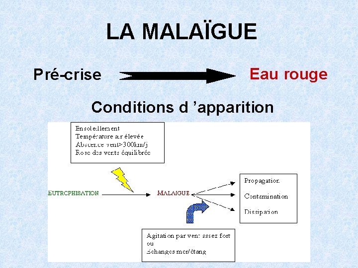 LA MALAÏGUE Pré-crise Eau rouge Conditions d ’apparition 