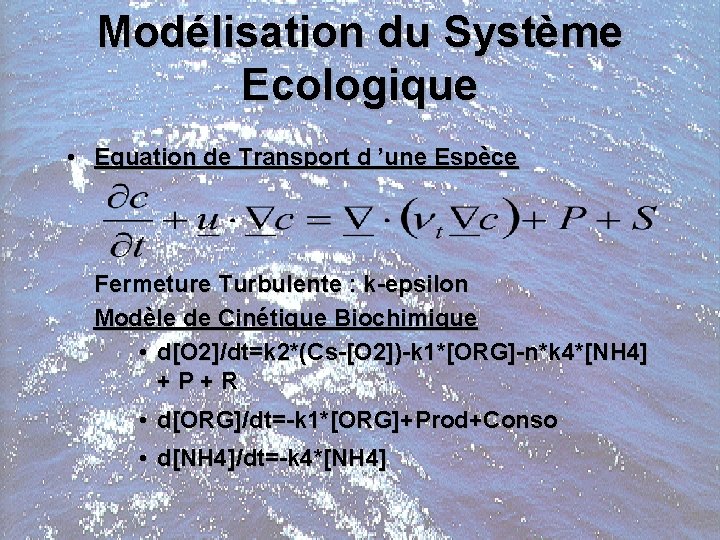 Modélisation du Système Ecologique • Equation de Transport d ’une Espèce Fermeture Turbulente :