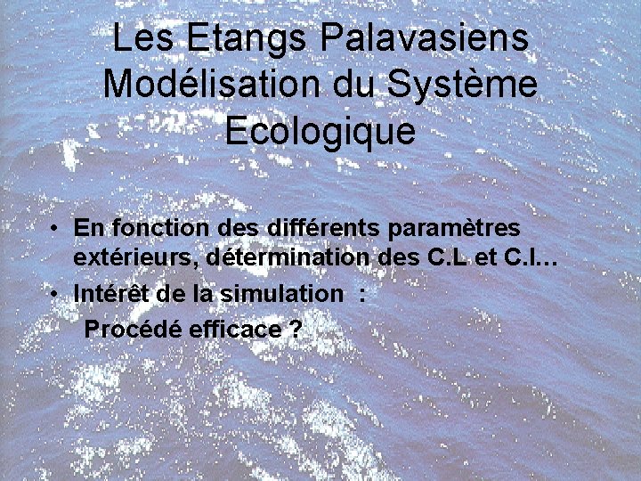 Les Etangs Palavasiens Modélisation du Système Ecologique • En fonction des différents paramètres extérieurs,