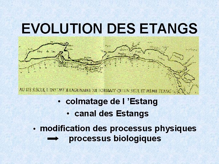 EVOLUTION DES ETANGS • colmatage de l ’Estang • canal des Estangs • modification