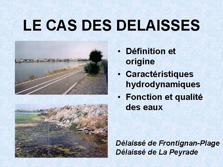 LE CAS DELAISSES • Définition et origine • Caractéristiques hydrodynamiques • Fonction et qualité