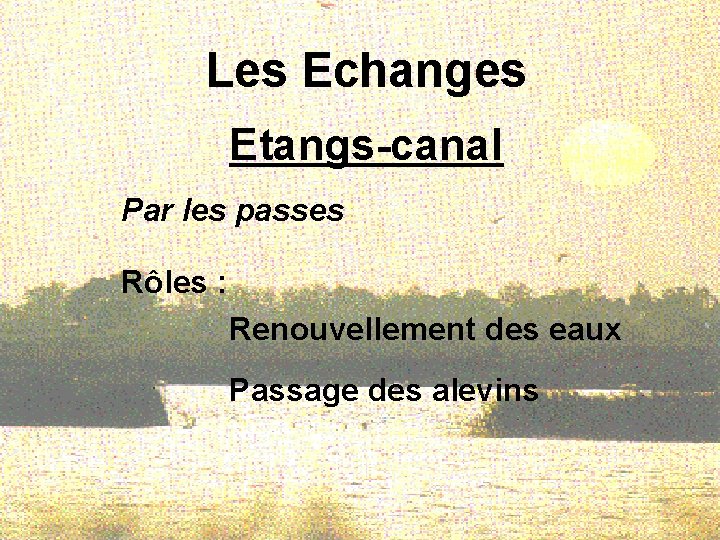 Les Echanges Etangs-canal Par les passes Rôles : Renouvellement des eaux Passage des alevins