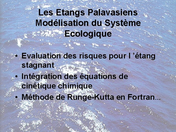 Les Etangs Palavasiens Modélisation du Système Ecologique • Evaluation des risques pour l ’étang