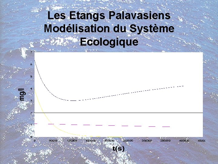 Les Etangs Palavasiens Modélisation du Système Ecologique 