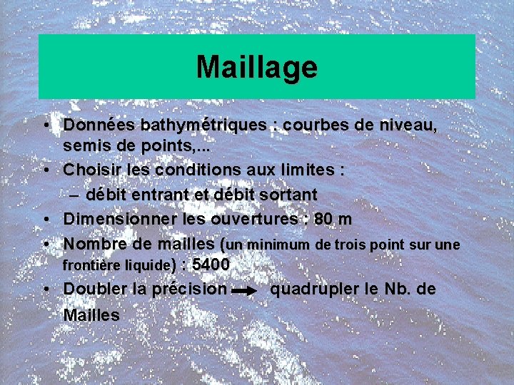 Maillage • Données bathymétriques : courbes de niveau, semis de points, . . .